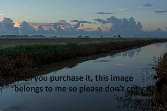 Early Morning_Irrigation Canal_Vermilion Parish_Kelly Morvant Photography_10-12-14-7634