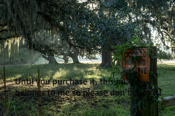 Early Morning_Irrigation Canal_Vermilion Parish_Kelly Morvant Photography_10-12-14-7702