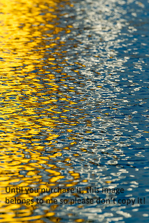 Water Reflections_Cameron LA-9702