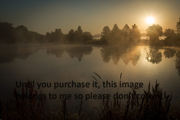 Pond Sunrise Fog Reflections_Jefferson Island La-05-03-14-9397