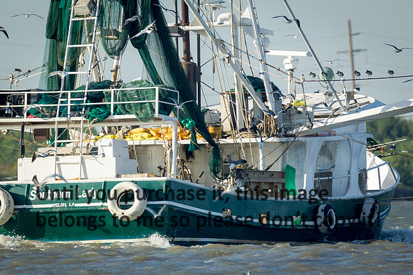 southern-lady_shrimp-boat_cameron-louisiana_kelly-morvant-photography_10-23-14-6620
