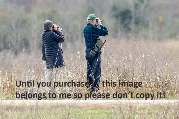 bird watchers_cameron-la_2015_kelly-morvant-photog-1917